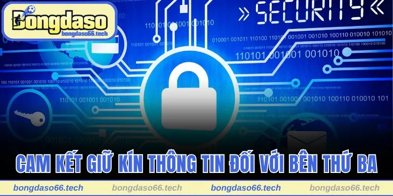 Quyền Riêng Tư Bongdaso - Bảo Vệ Thông Tin Toàn Diện 3 Bongdaso cam kết giữ kín thông tin đối với bên thứ ba
