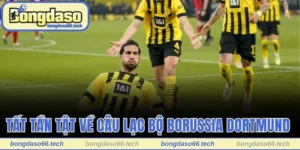 Câu lạc bộ bóng đá Borussia Dortmund