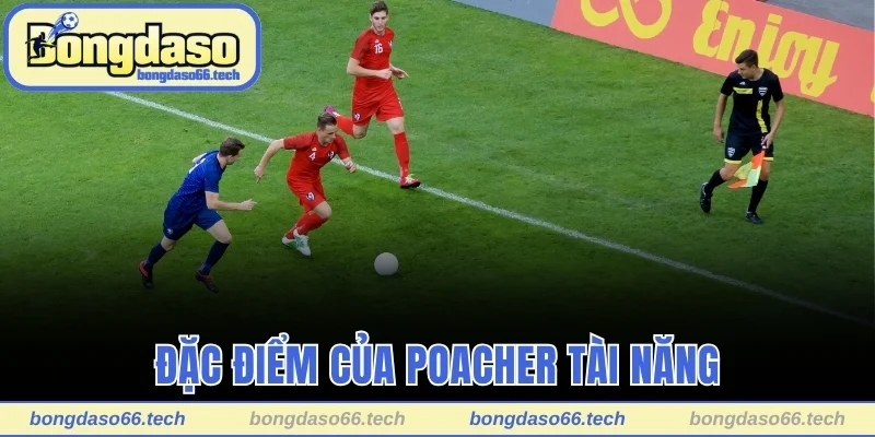 Đặc điểm của Poacher tài năng