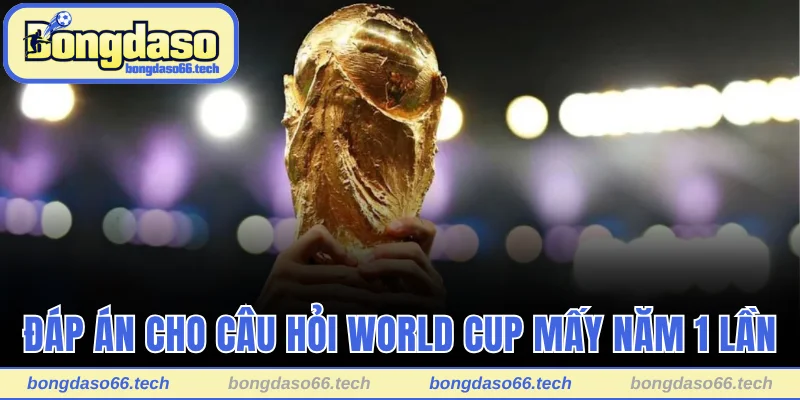 World Cup Mấy Năm 1 Lần? Các Thay Đổi Thú Vị Sắp Tới 1 Đáp án cho câu hỏi World Cup mấy năm 1 lần