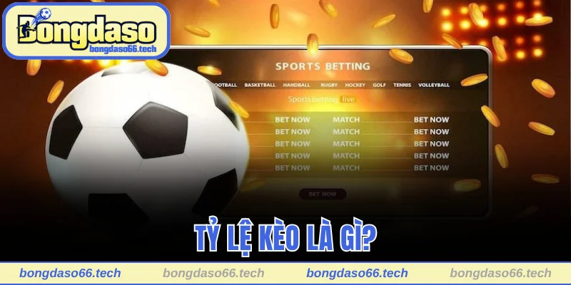 Giải thích khái niệm tỷ lệ kèo Bongdaso