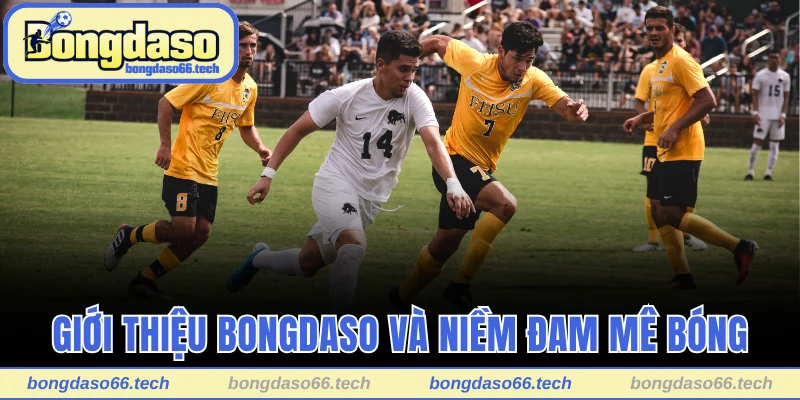 Giới Thiệu Bongdaso - Phân Tích Và Cập Nhật Kèo Sớm Nhất 1 Giới thiệu Bongdaso và niềm đam mê bóng