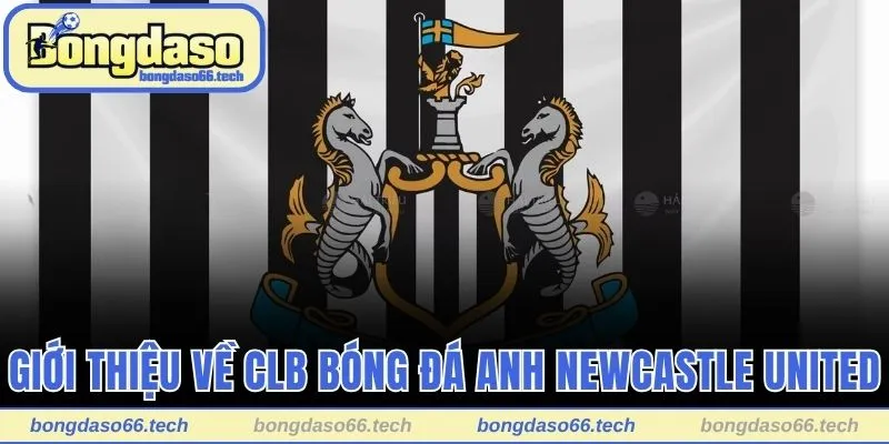 Giới thiệu về CLB bóng đá Anh Newcastle United