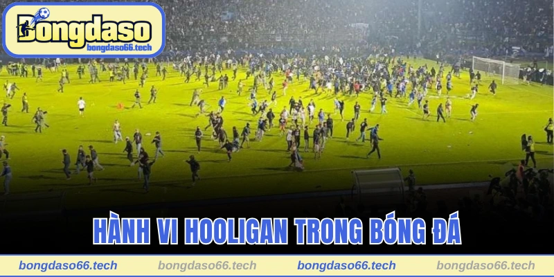 Hành vi Hooligan trong bóng đá