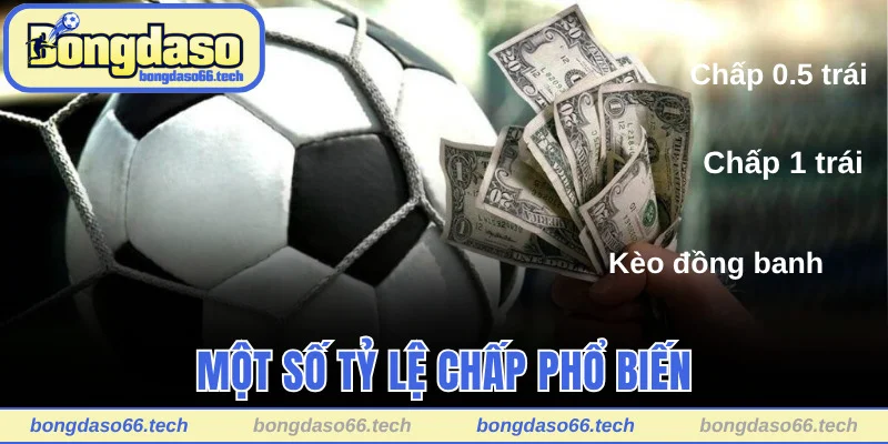 Kèo Chấp Là Gì? Bí Quyết Đọc Kèo Cực Chuẩn Từ Chuyên Gia 2 Một số tỷ lệ chấp phổ biến trong kèo cược châu Á