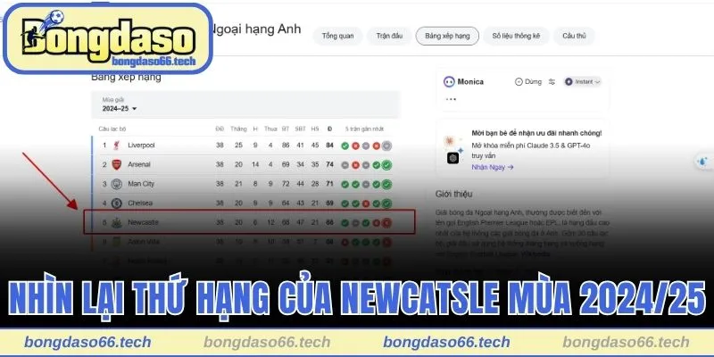 Nhìn lại thứ hạng của Newcastle mùa 2024/25