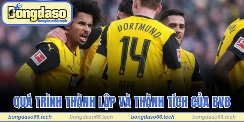 Quá trình thành lập và thành tích của BVB