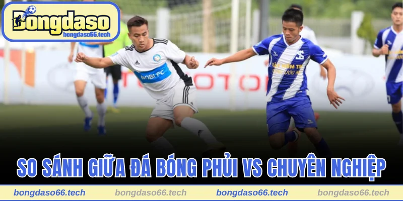 Bóng Đá Phủi Là Gì? Câu Chuyện Phía Sau Trận Đấu Tự Phát 3 So sánh giữa đá bóng phủi vs chuyên nghiệp
