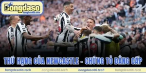 Thứ Hạng Của Newcastle