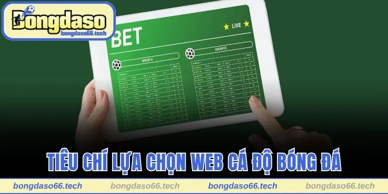 Top 10+ Các Trang Web Cá Độ Bóng Đá Uy Tín Nhất Năm 2025 3 Tiêu chí lựa chọn web cá độ bóng đá lý tưởng
