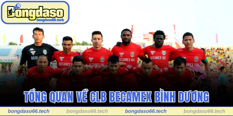 Becamex Bình Dương – Đội Bóng Mệnh Danh Đại Bàng Tím 1 Tổng quan nhanh về CLB Becamex Bình Dương
