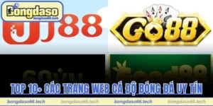 top 10+ các trang web cá độ bóng đá uy tín